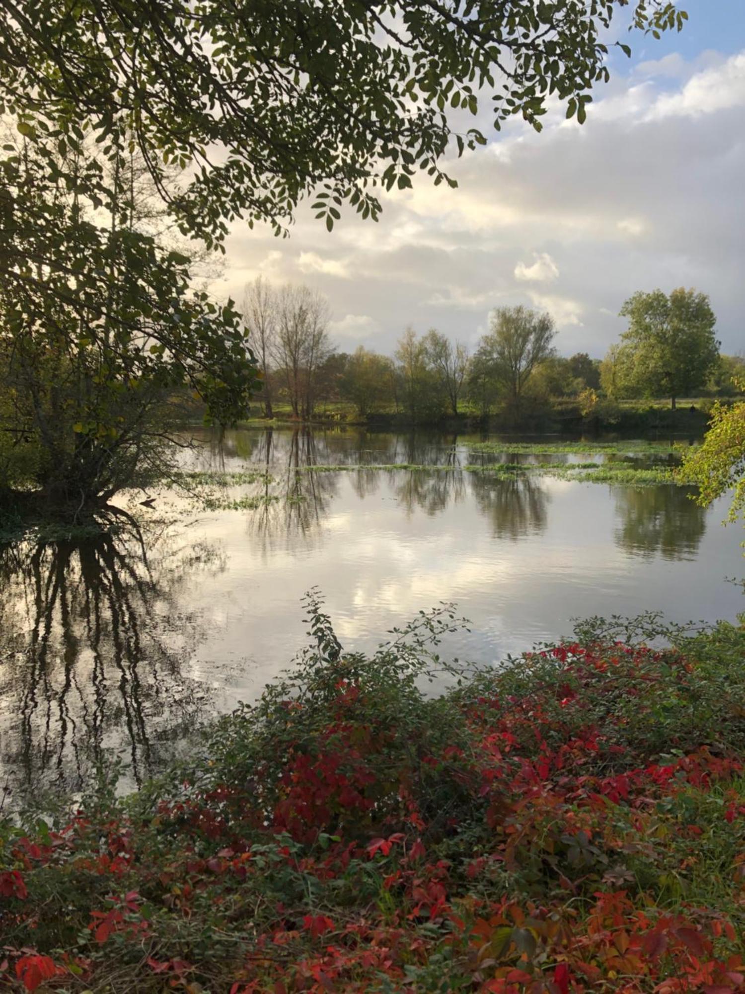 Le Numéro 15 Saint-Seurin-sur-l'Isle Extérieur photo